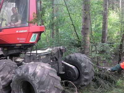 Hubert Forst GmbH - Harvestertechnik