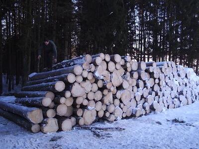 Hubert Forst GmbH - Holzhandel